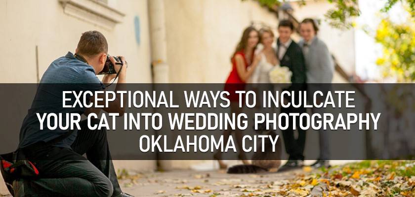 Cat into Wedding Photography Oklahoma City