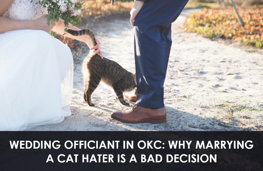 Marrying a Cat Hater is a Bad Decision